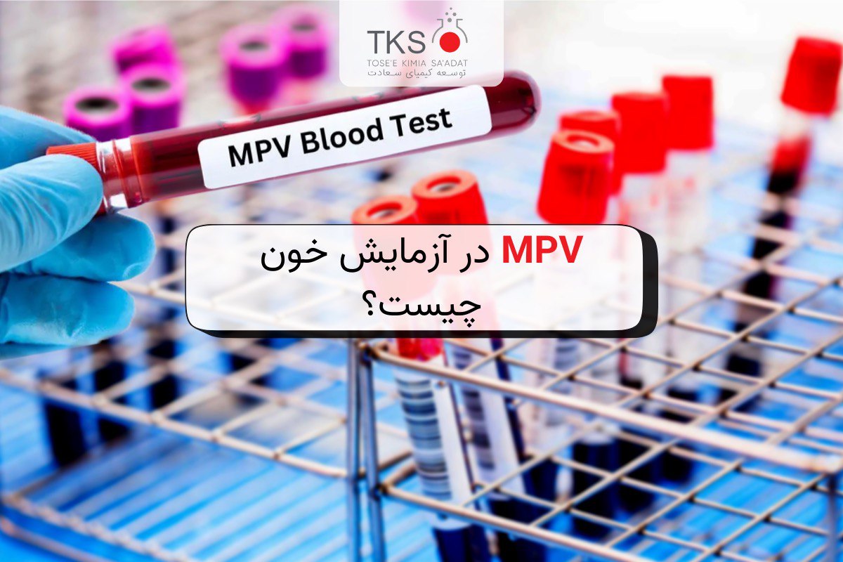 MPV در آزمایش خون چیست؟