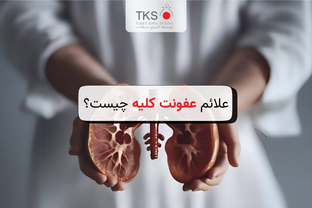 عفونت کلیه